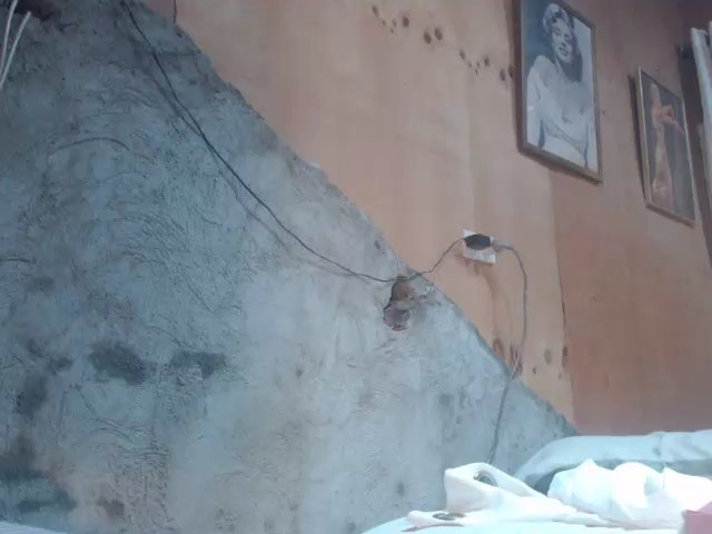 Urbabygirl_jenny live cam screenshot female from Philippines on Whores.exposed – Exposed XXX & Live Cams — screenshot #1